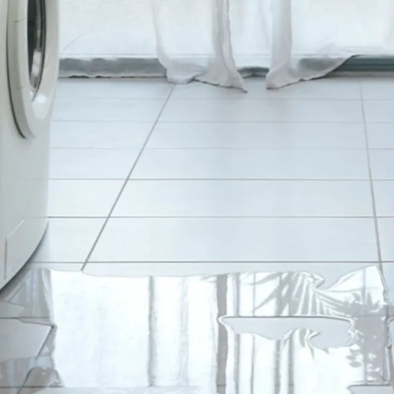 Appliance Leak Cleanup in Clare County, MI