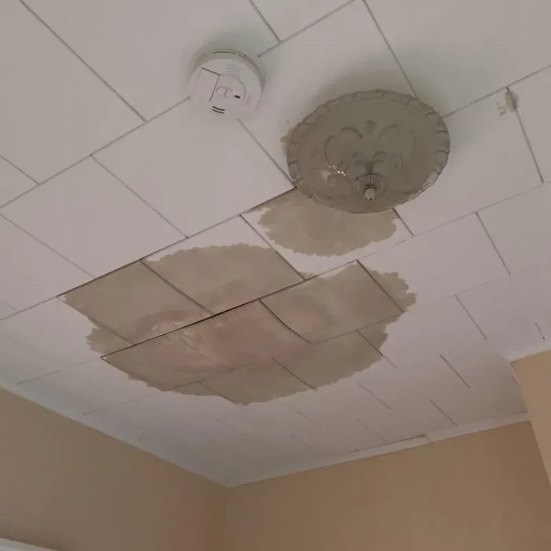 Ceiling Water Damage Repair in Clare County, MI