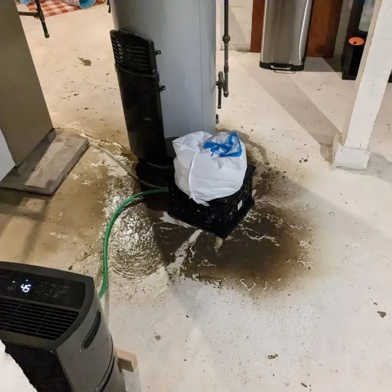 Sewage Backup Cleanup Service in Clare County, MI